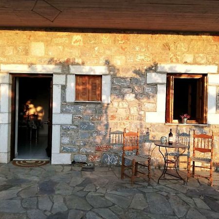 Theasea House With Garden Daire Riglia Dış mekan fotoğraf