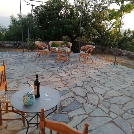 Theasea House With Garden Daire Riglia Dış mekan fotoğraf