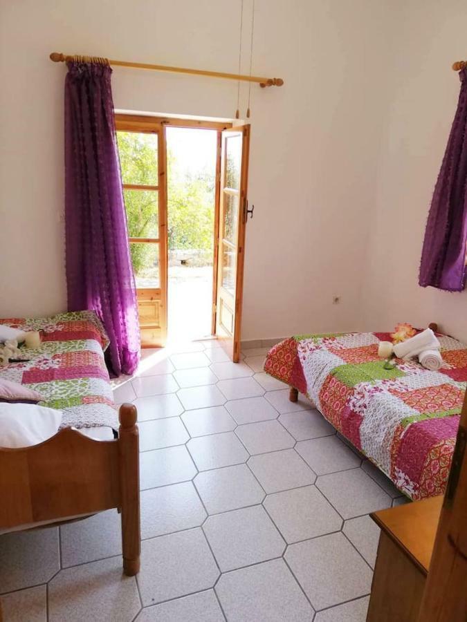 Theasea House With Garden Daire Riglia Dış mekan fotoğraf
