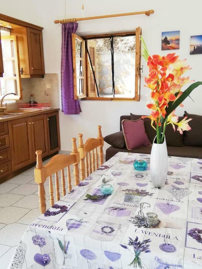 Theasea House With Garden Daire Riglia Dış mekan fotoğraf