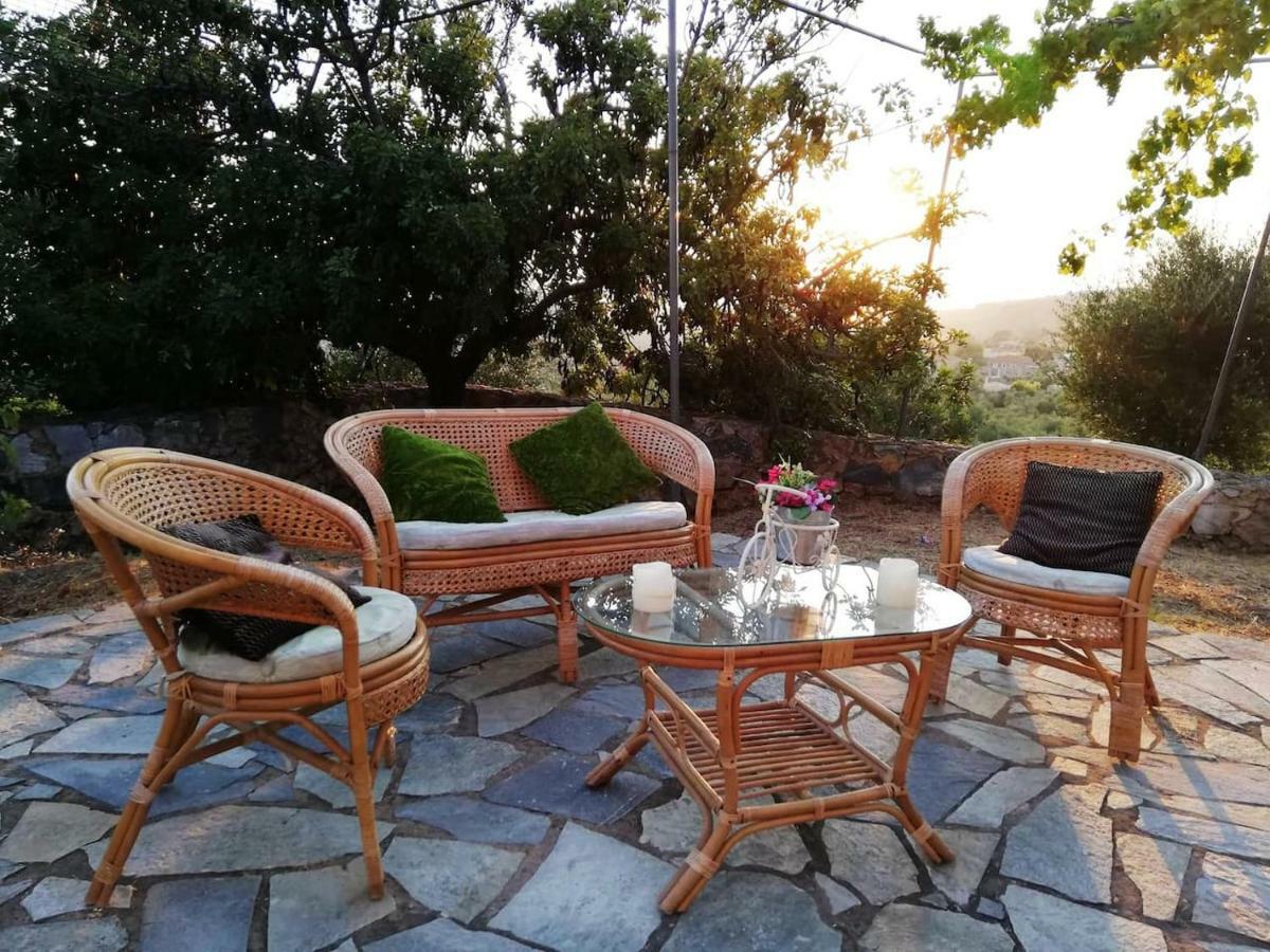 Theasea House With Garden Daire Riglia Dış mekan fotoğraf