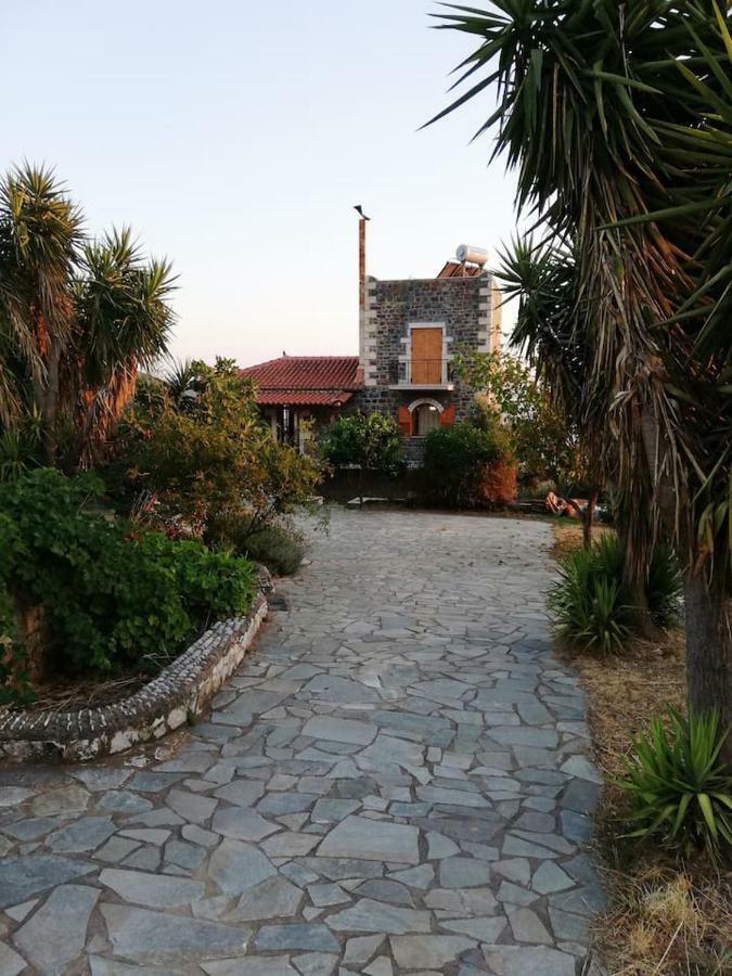 Theasea House With Garden Daire Riglia Dış mekan fotoğraf