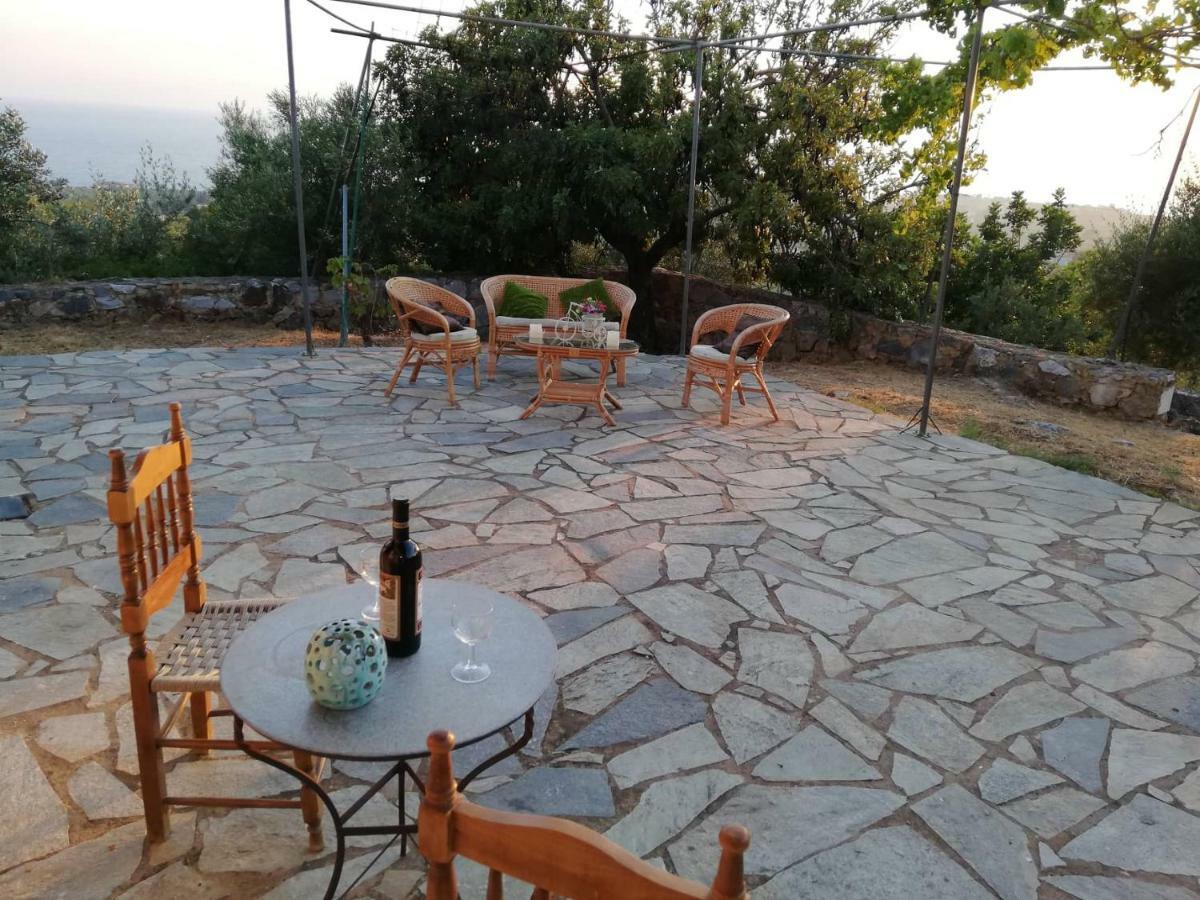 Theasea House With Garden Daire Riglia Dış mekan fotoğraf
