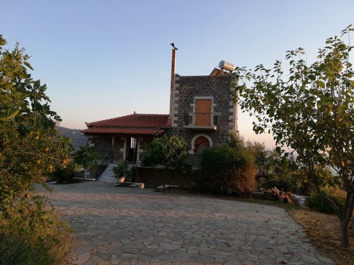 Theasea House With Garden Daire Riglia Dış mekan fotoğraf